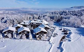 Чамкория Шалети